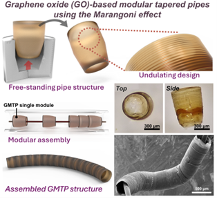 Fabrication of free-standing undulating graphene oxide modular tapered pipes using the Marangoni effect,  <p class=