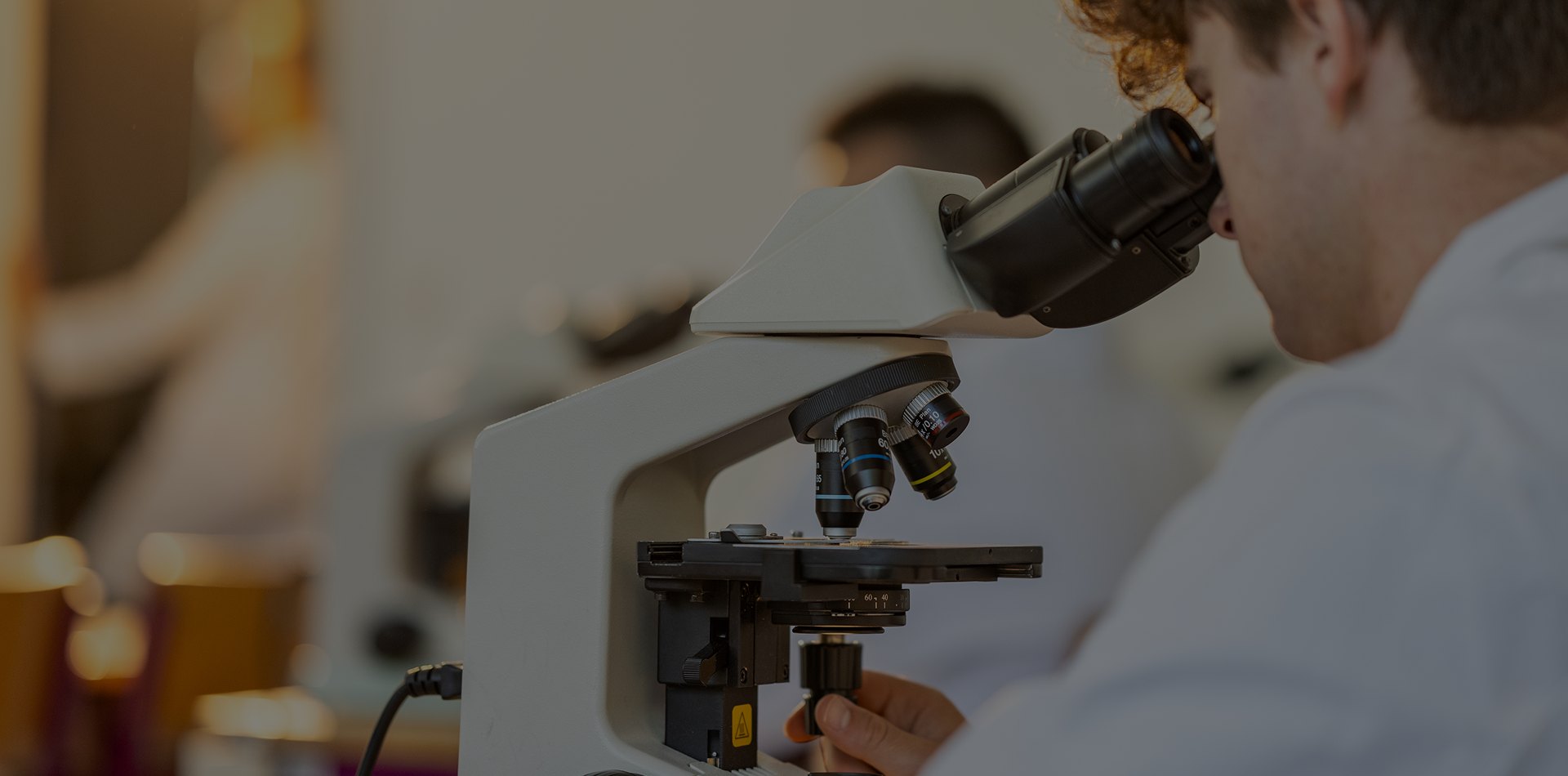 Sungkyunkwan |Bionano Engineering and<br> Sensing Technology Laboratory