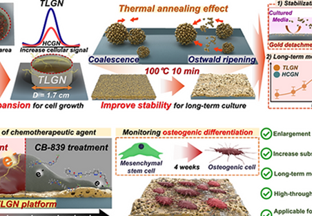 Thermally annealed large-scale gold nanostructure platform for long-term and label-free electrochemical monitoring of cellular metabolism <p class=