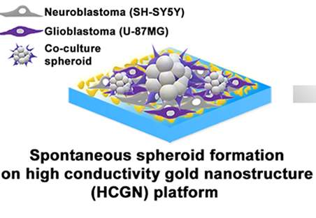 A spheroid-forming hybrid gold nanostructure platform that electrochemically detects anticancer effects of curcumin in a multicellular brain cancer model <p class=