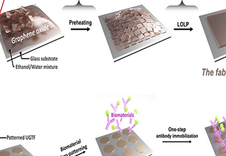  Extremely Uniform Graphene Oxide Thin Film as a Universal Platform for One-Step Biomaterial Patterning  <p class=